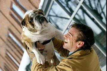 How to Train Bulldog : How to Train Your English Bulldog