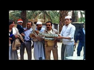 zoo d'oran hadj aissa l'arche de noé