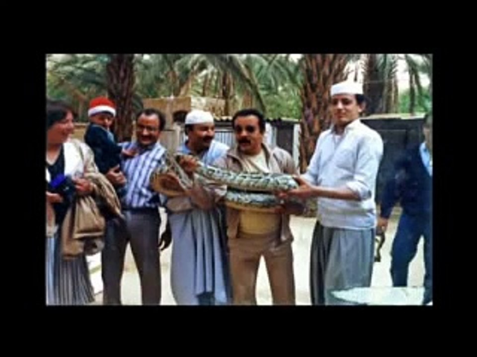 zoo d'oran hadj aissa l'arche de noé