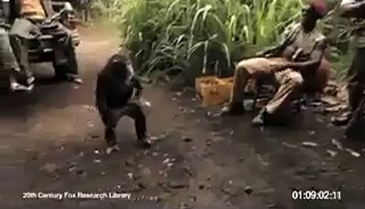monkey gun shoot