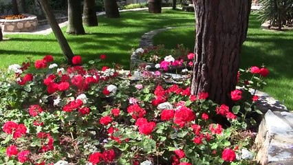 Club Med Bodrum (Mai 2015) - Le site