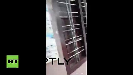 This Dramatic Footage Shows Angry Leopard Inside School Which It Broke Into In Karnataka