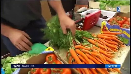 Sécheresse : les fruits et légumes font grise mine