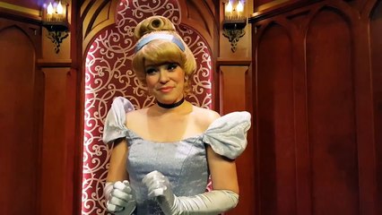 CINDERELLA WANTS TO SEE FAIRY GODMOTHER AGAIN!