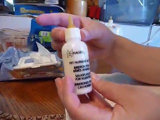 How to prepare milk for feeding kittens