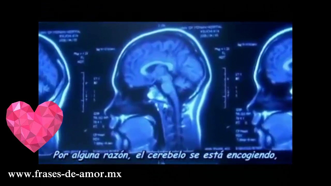 la historia de amor mas triste del mundo