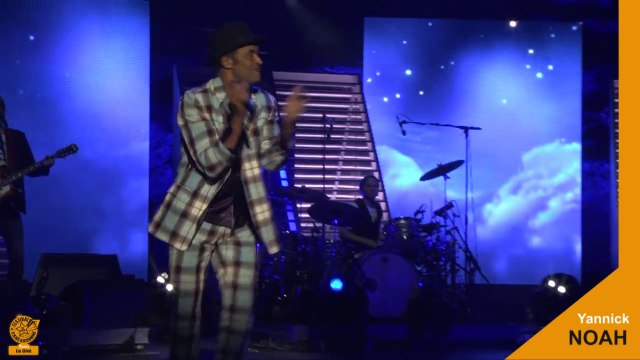 Yannick Noah en concert sur la scène du théâtre Jean-Deschamps dans le cadre du Festival de Carcassonne :
