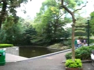 Kowloon Park un peu de nature ....ouf