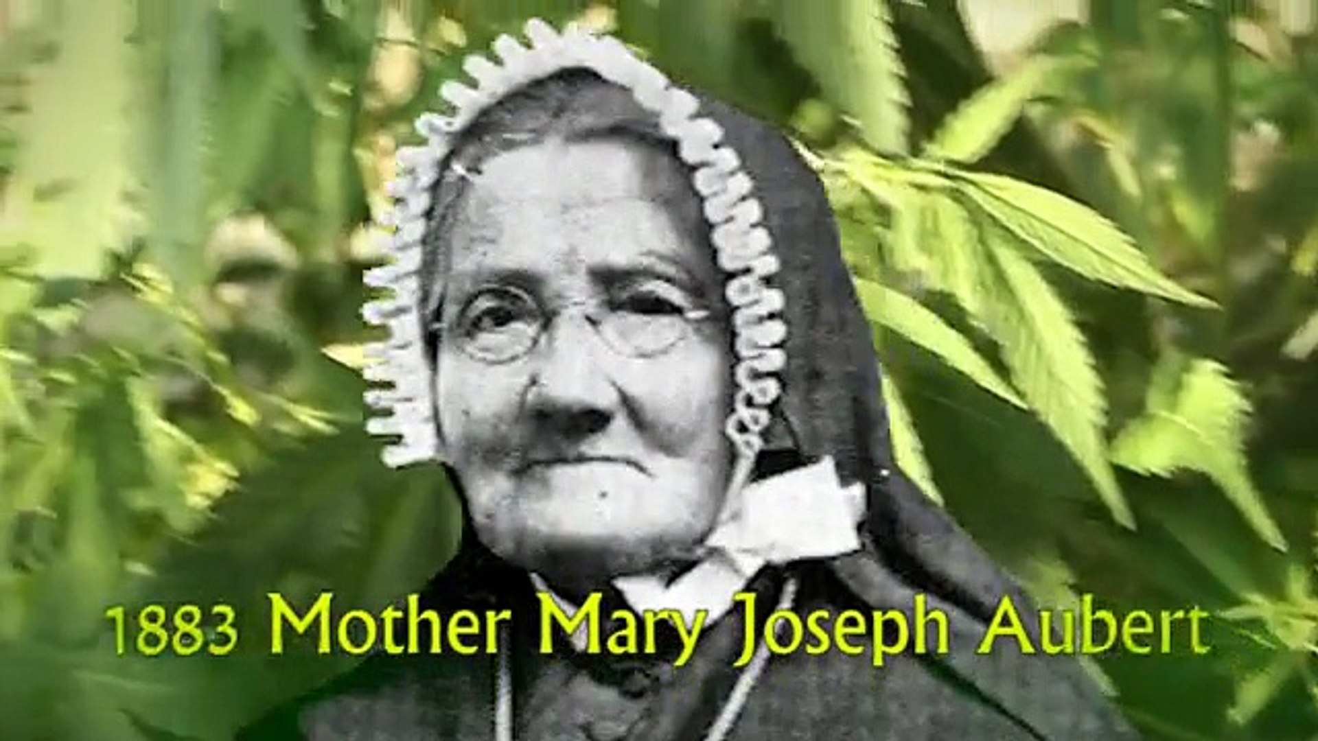 Medical Cannabis - Then & Now