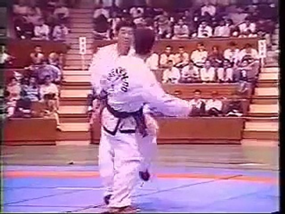 Taekwondo ITF Highlights