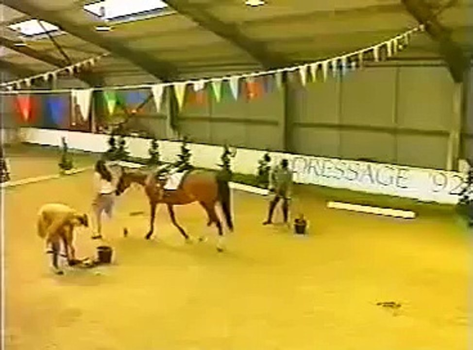 Men Doing Dressage