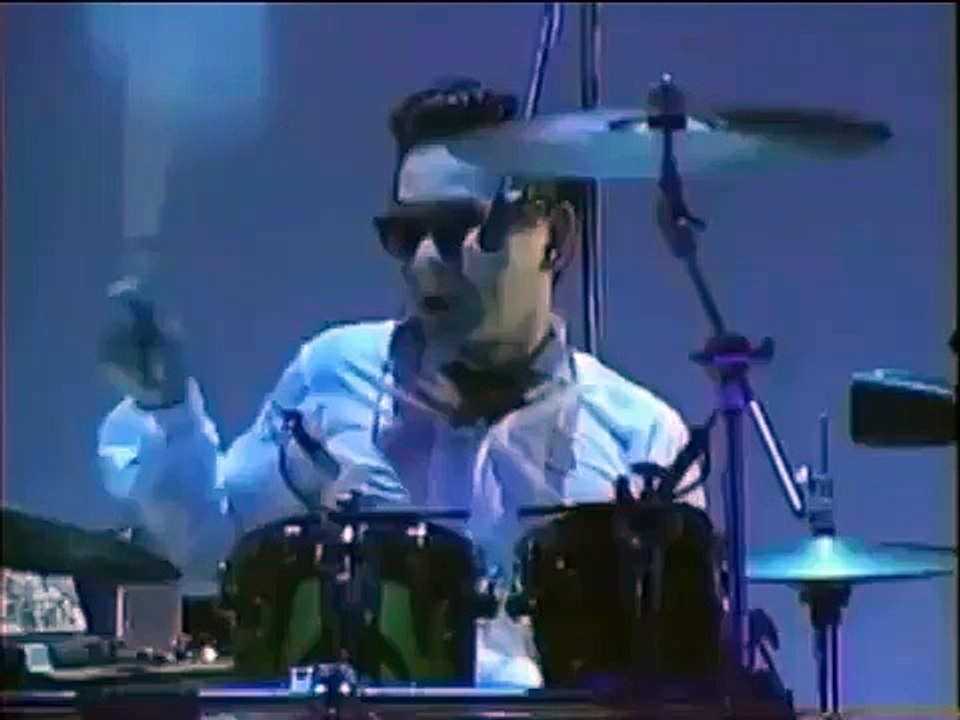 サボテンの花／チューリップ.wmv
