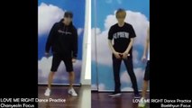 LOVE ME RIGHT Dance Practice chanyeol&baekhyun focus