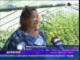 Dnevnik, 25. jul 2015. (RTV Bor)