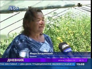 Dnevnik, 25. jul 2015. (RTV Bor)