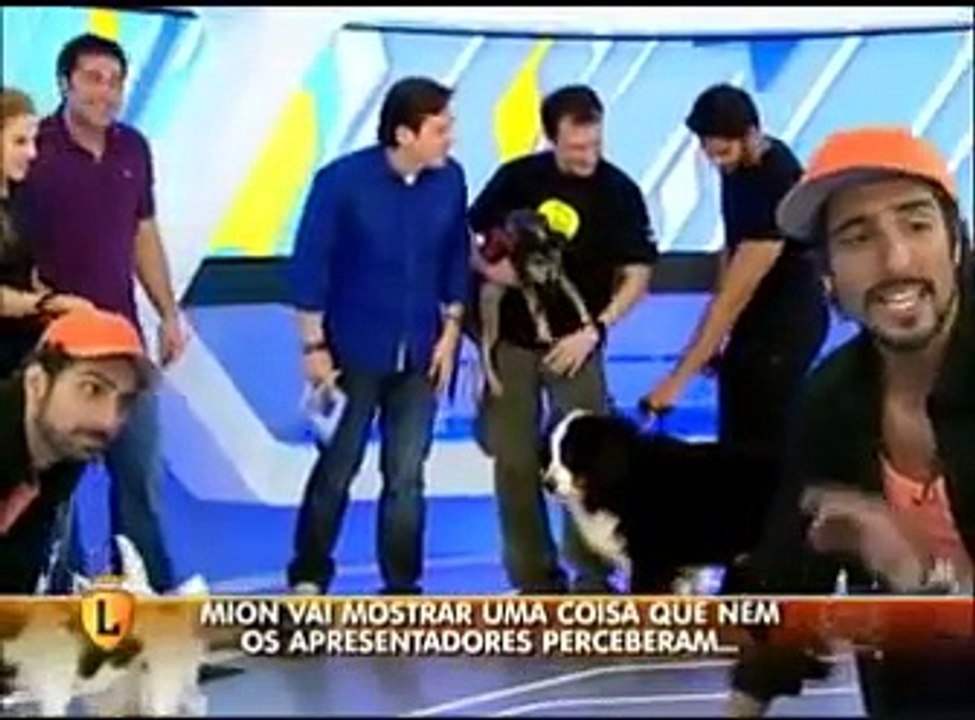 Vale a Pena Ver Direito 11 02 2012 - Mion zoa farra de cachorros no Hoje em Dia - Legendários