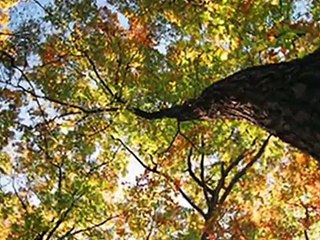 Recuerda de donde saliste, reflexion cristiana