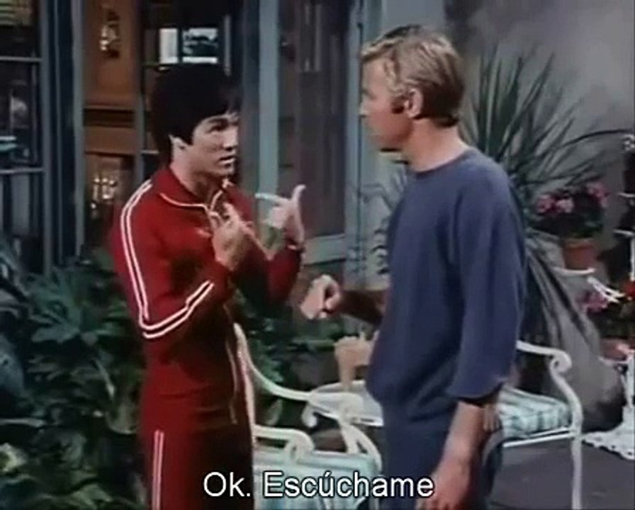 Bruce Lee Jeet Kune Do