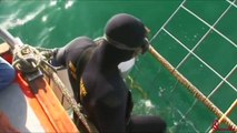Swimming with sharks (Cage Diving, Great Whites) South Africa