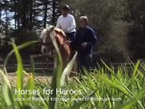 Horses for Heroes