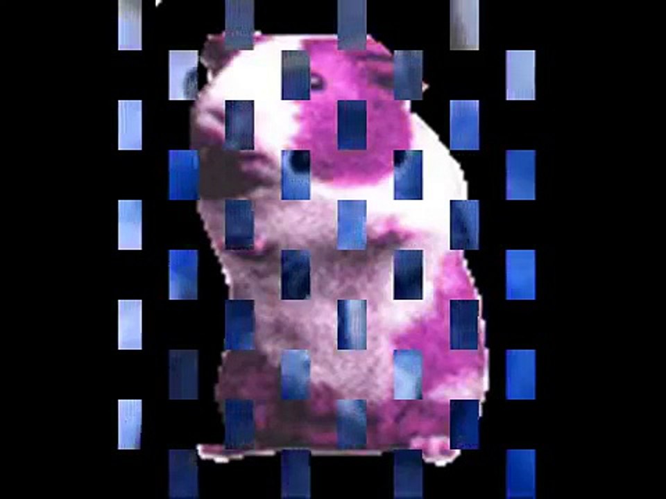 Hamster Dance