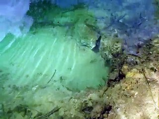 Plecostomus - Pleco - making a cave for spawning in backyard pond