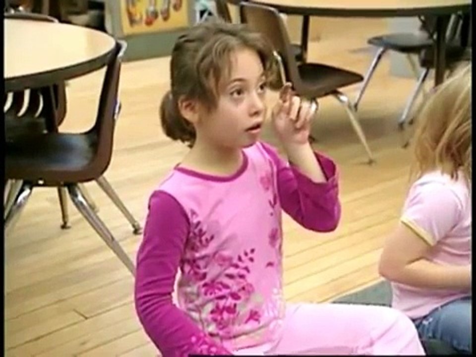 Executive Function Skills