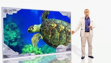 3-  على طريق العلم   البنية الرائعة للحمض النووي DNA