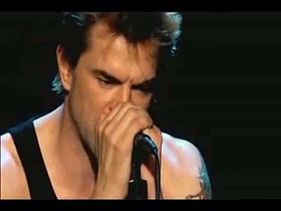 Die toten Hosen - Nur zu Besuch (Live - unplugged).flv