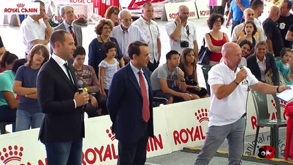 Vercelli 2013   Polizia