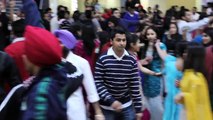 Humber's Diwali Dhamaka