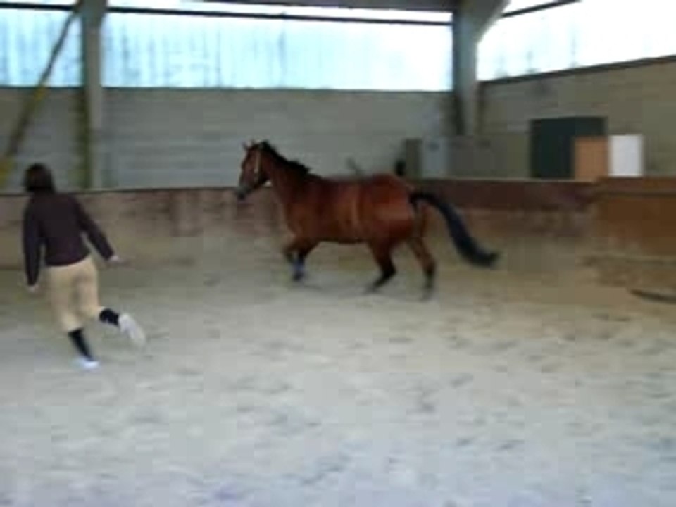 Jisko saut 088
