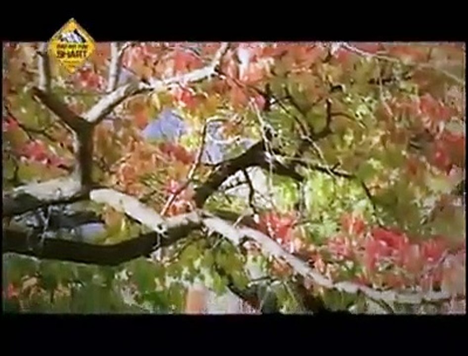 Tu jo anus mai yaar (Shina Song) Gilgit Baltistan)