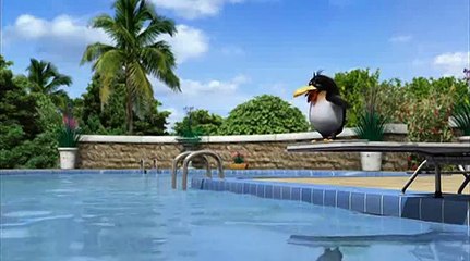 Ayı Bernard Tramplen - Seyret