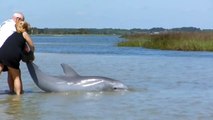 Dolphin Rescue Jacksonville, FL
