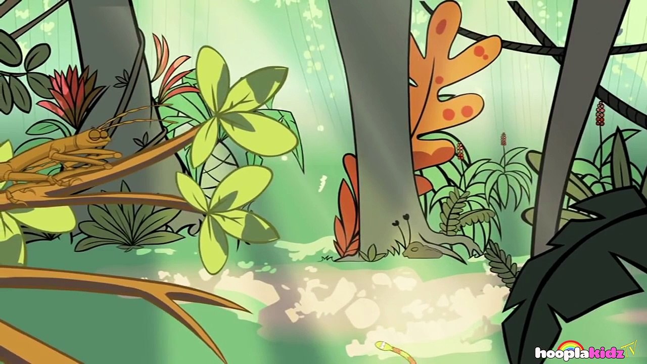 Cartoons For Children | Funny Cartoons For Children | Creepy Crawlies & Funny Insect Videos For Fun