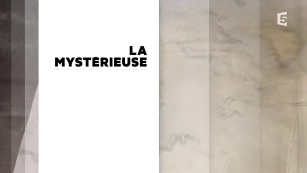 La mysterieuse carte viking (documentaire tv)
