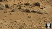 Alien Mysteries: Alien Frog Found On Mars?