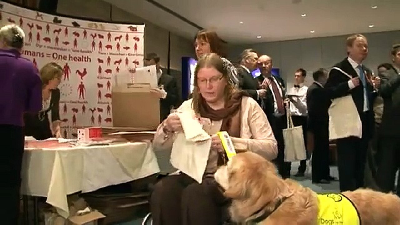 European Pet Night 2009 in the European Parliament.wmv