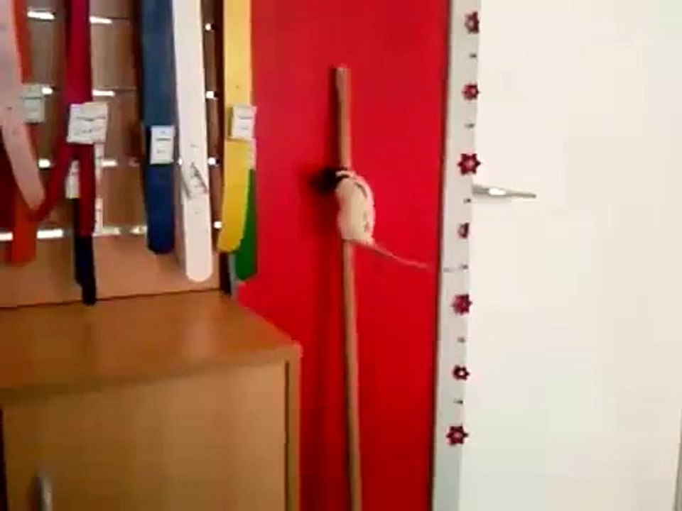 Rats domestique. Mystyk et Mystere