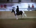 NE Friesian Horse Club - Fantasy Freestyle Gypsy Cob 7/31/05