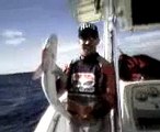 shark video filmed in Myrtle Beach, South Carolina