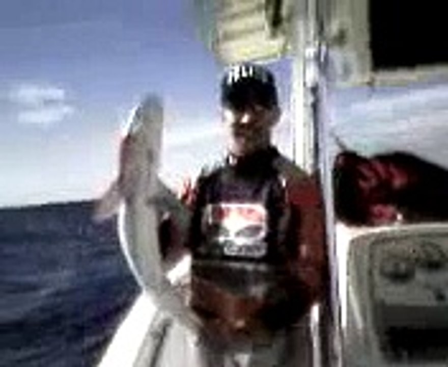 shark video filmed in Myrtle Beach, South Carolina