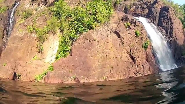 Летающий крокодил напал на туристов.