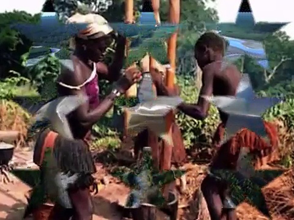 PROJECTO GUINÉ-BISSAU: CONTRIBUTO