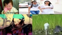 Latest Punjabi Totay 2014 | Pakistani Very Funny Video clips 2014