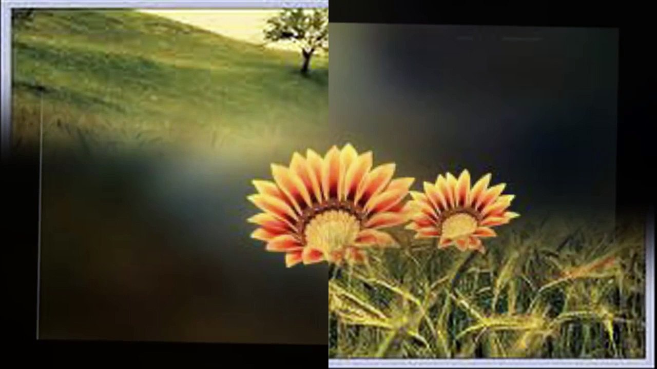 ION SURUCEANU-NUMAI TU,NUMAI TU..