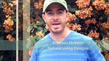 A trip to Zill fruit tree farm in Costa Rica with Brendon McKeon