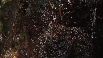 Tenkawa 4K Ultra HD