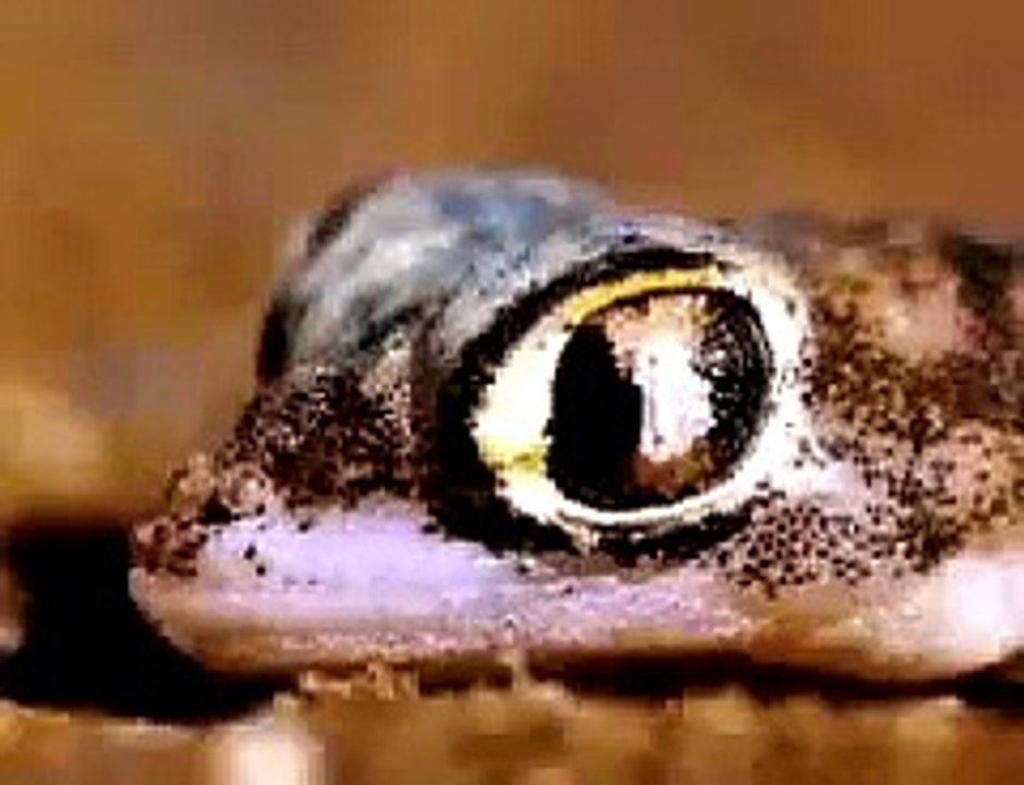 Opel Calibra V6 Offizielle TV Werbung